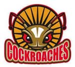 cockroaches